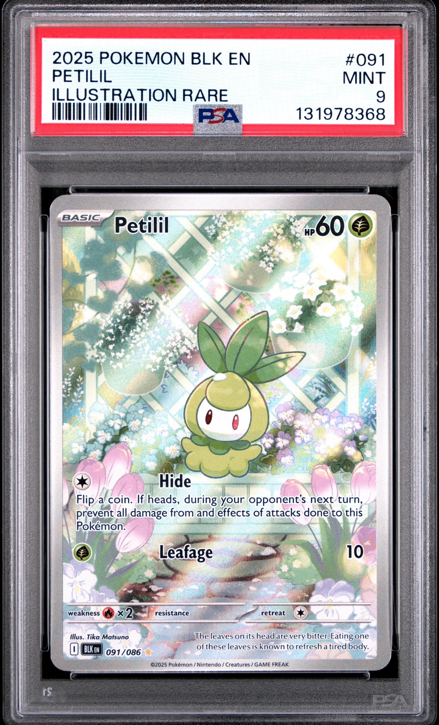 PETILIL
