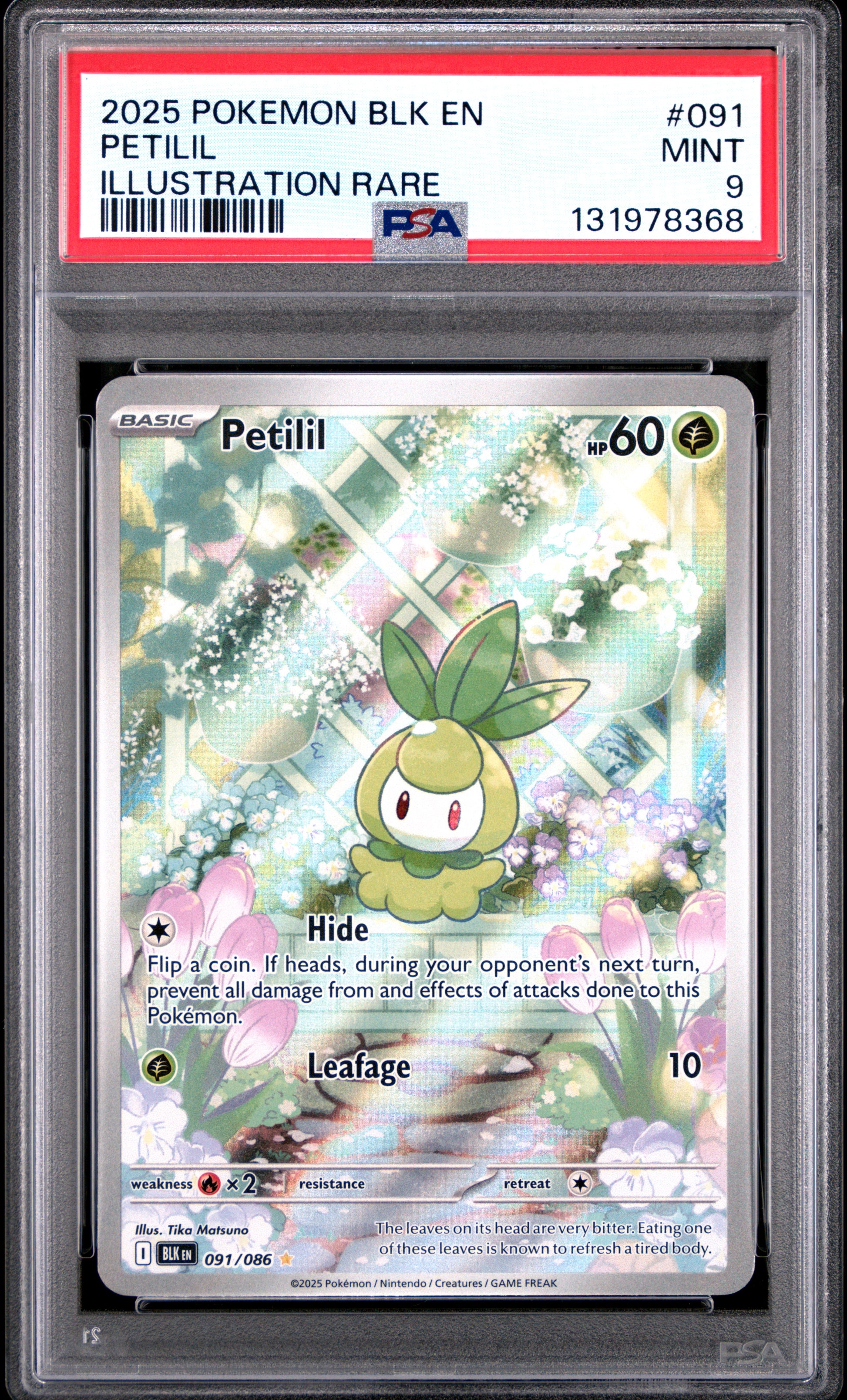 PETILIL