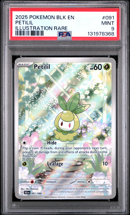 PETILIL