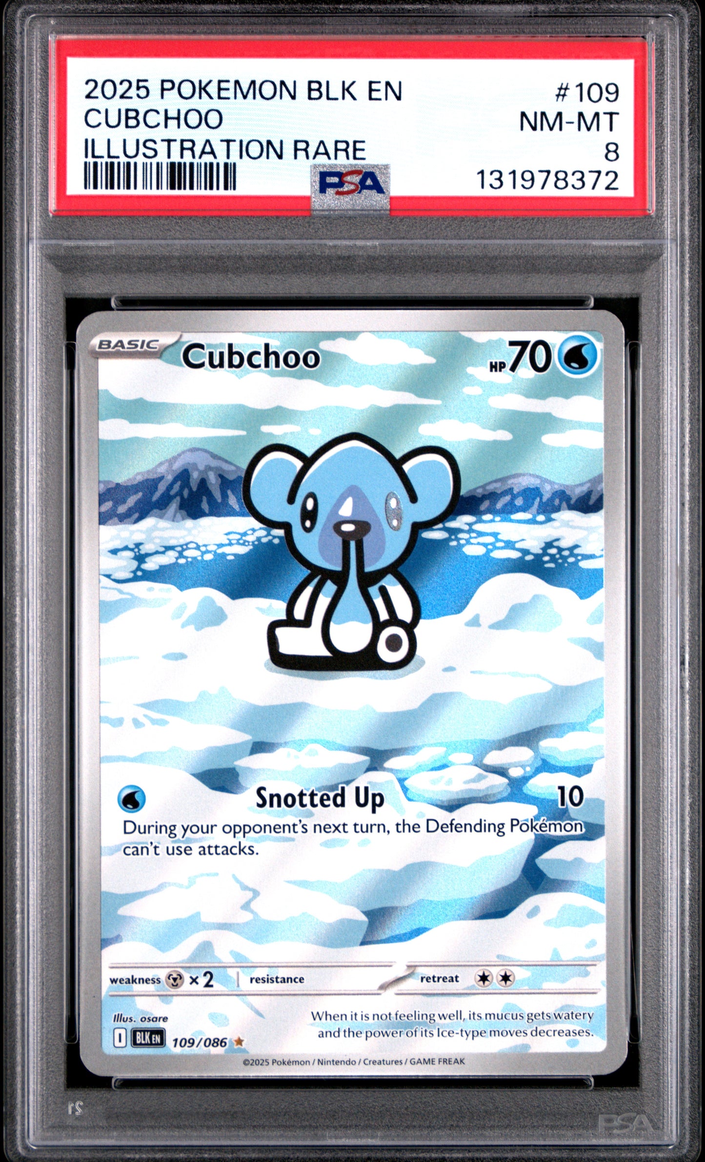 CUBCHOO