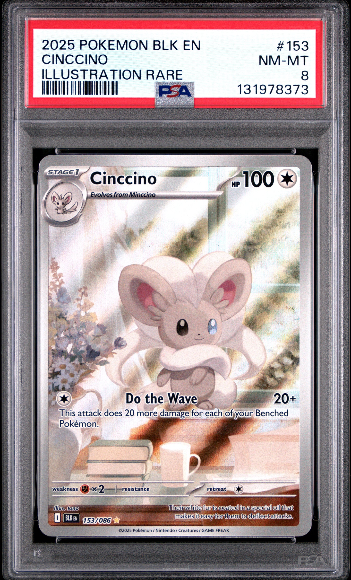 CINCCINO