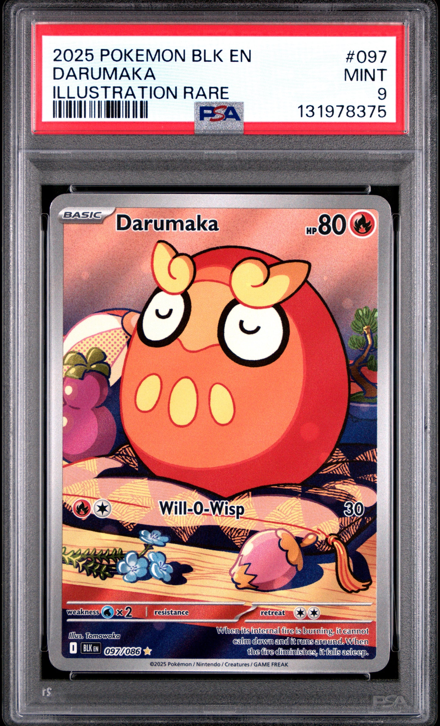 DARUMAKA