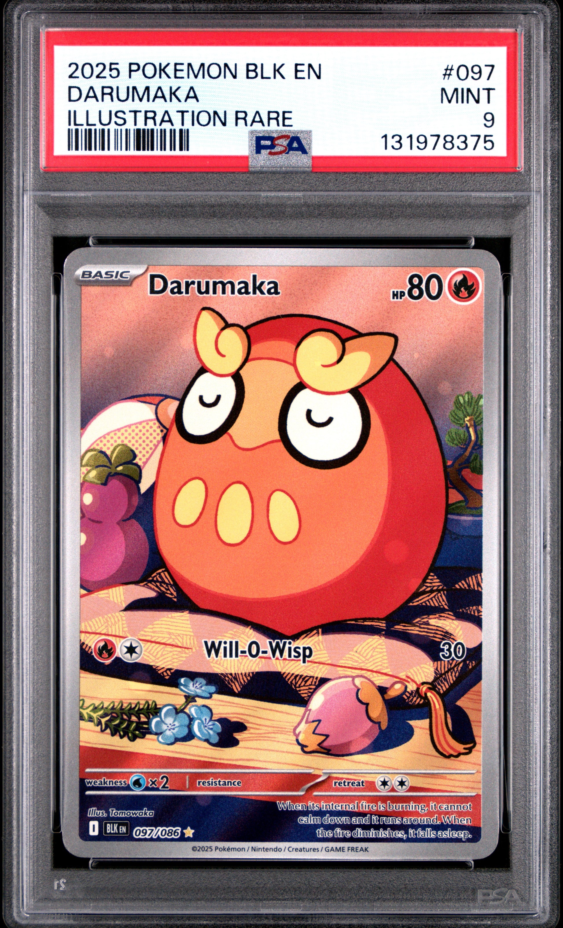 DARUMAKA
