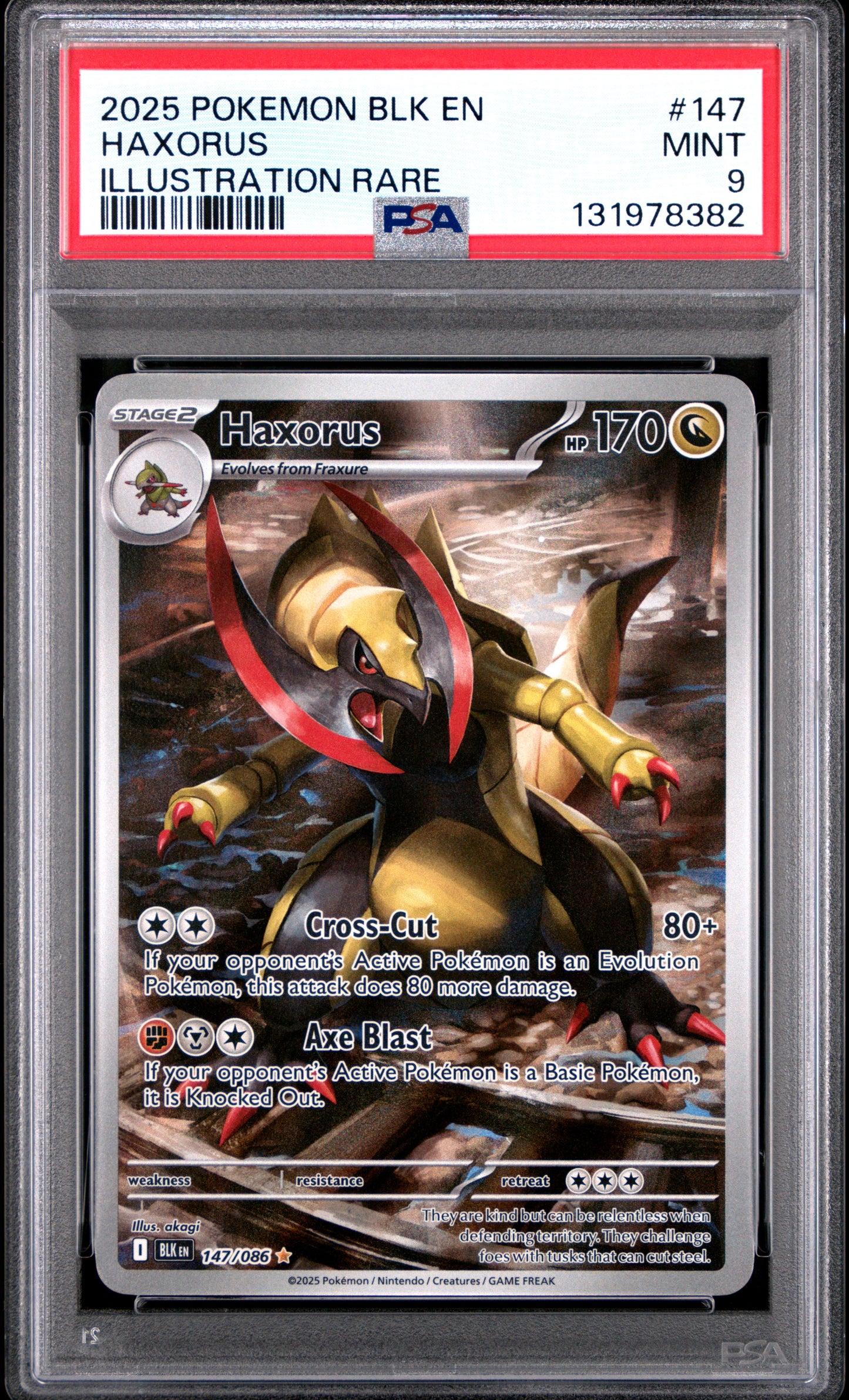 HAXORUS