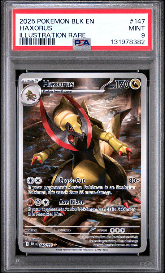 HAXORUS
