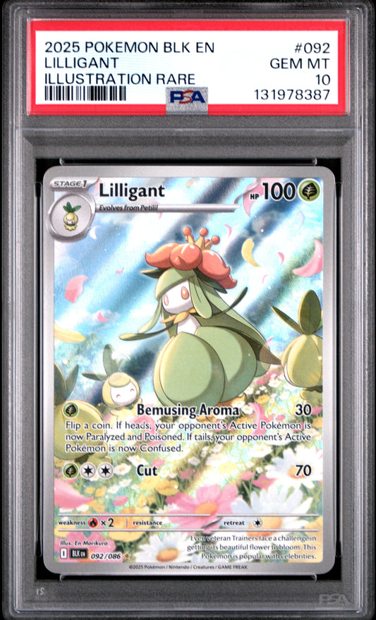 LILLIGANT