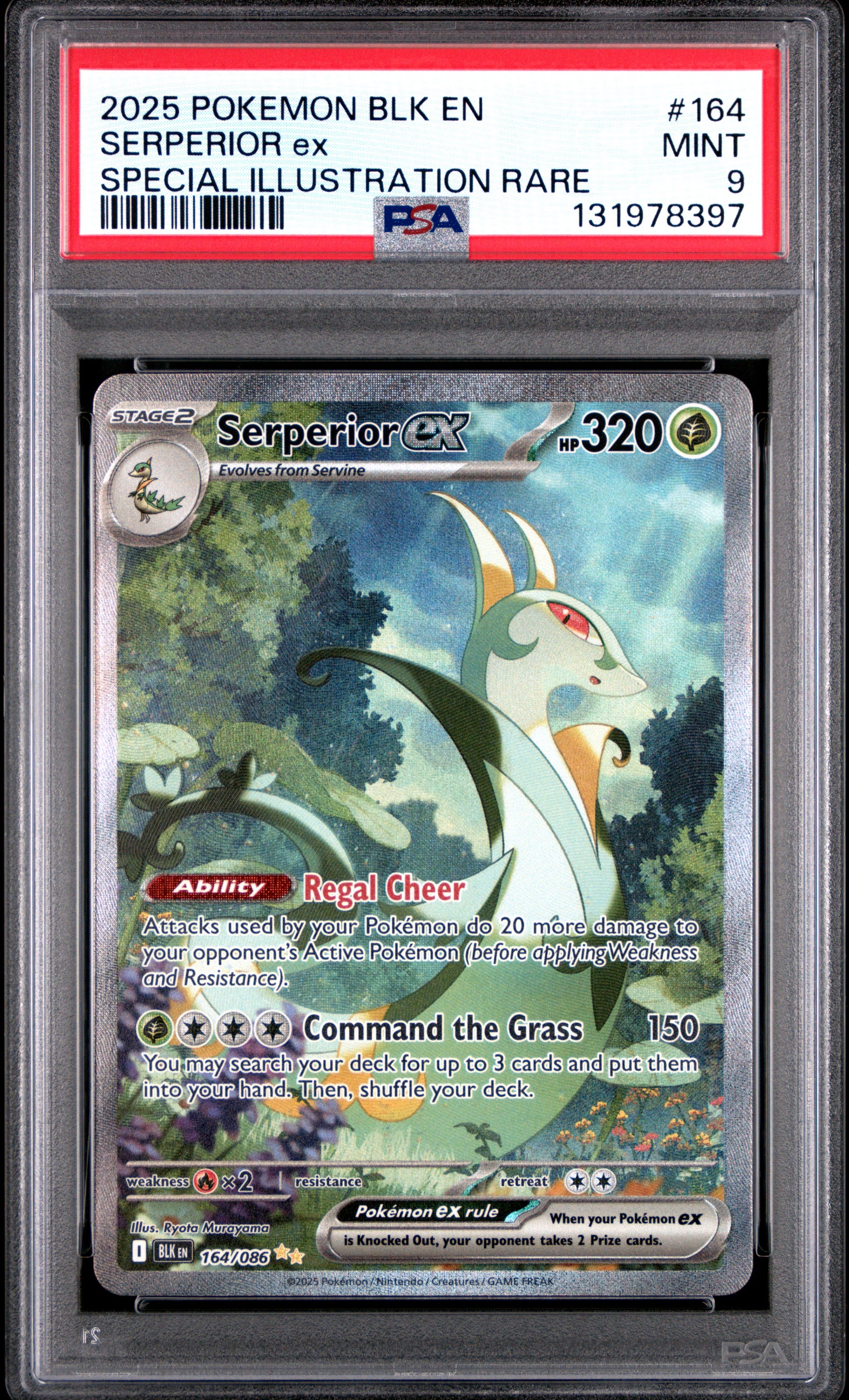 SERPERIOR ex