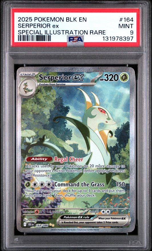 SERPERIOR ex