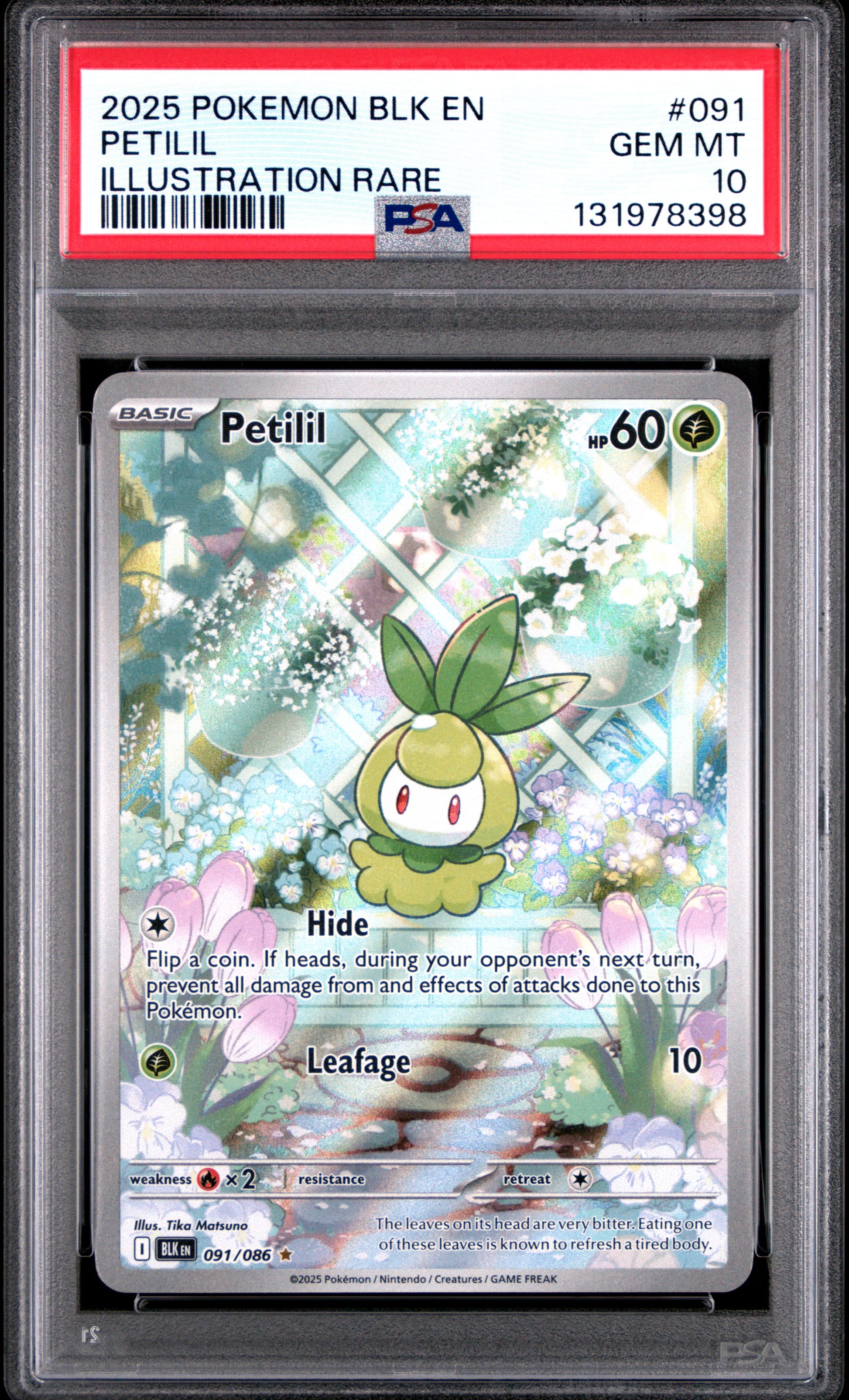 PETILIL