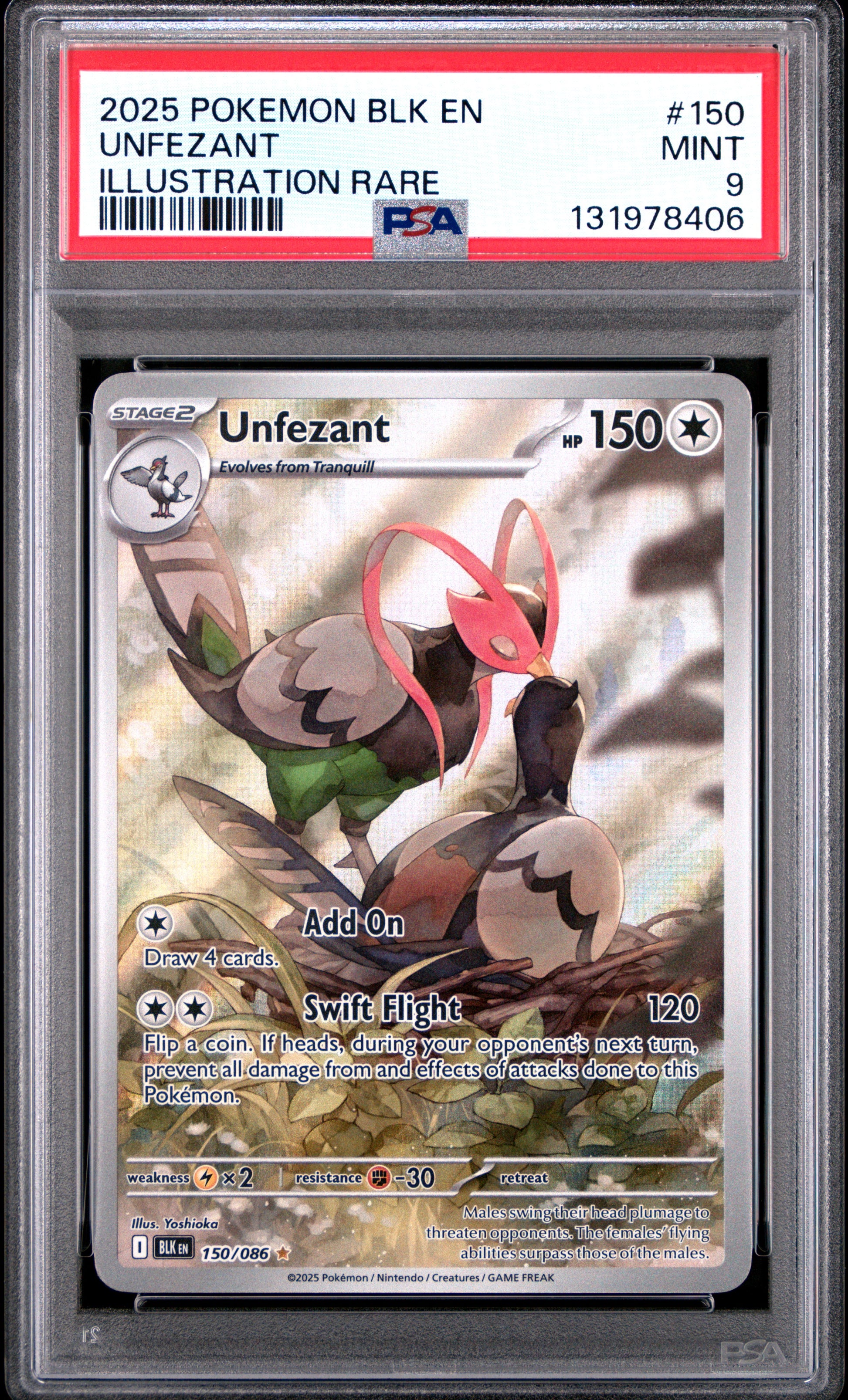 UNFEZANT