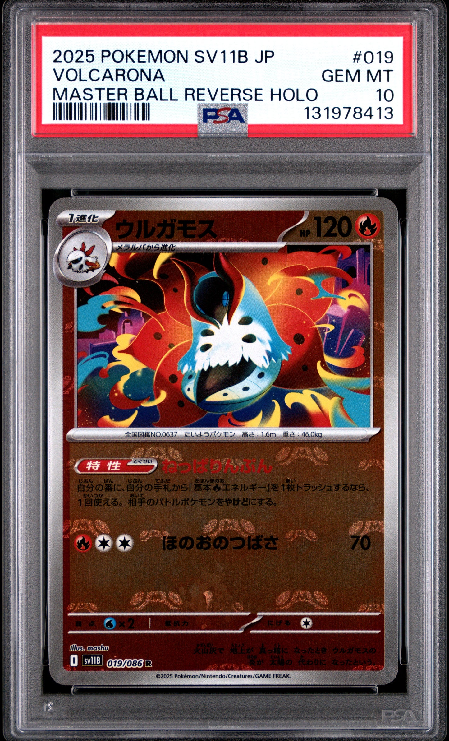 VOLCARONA