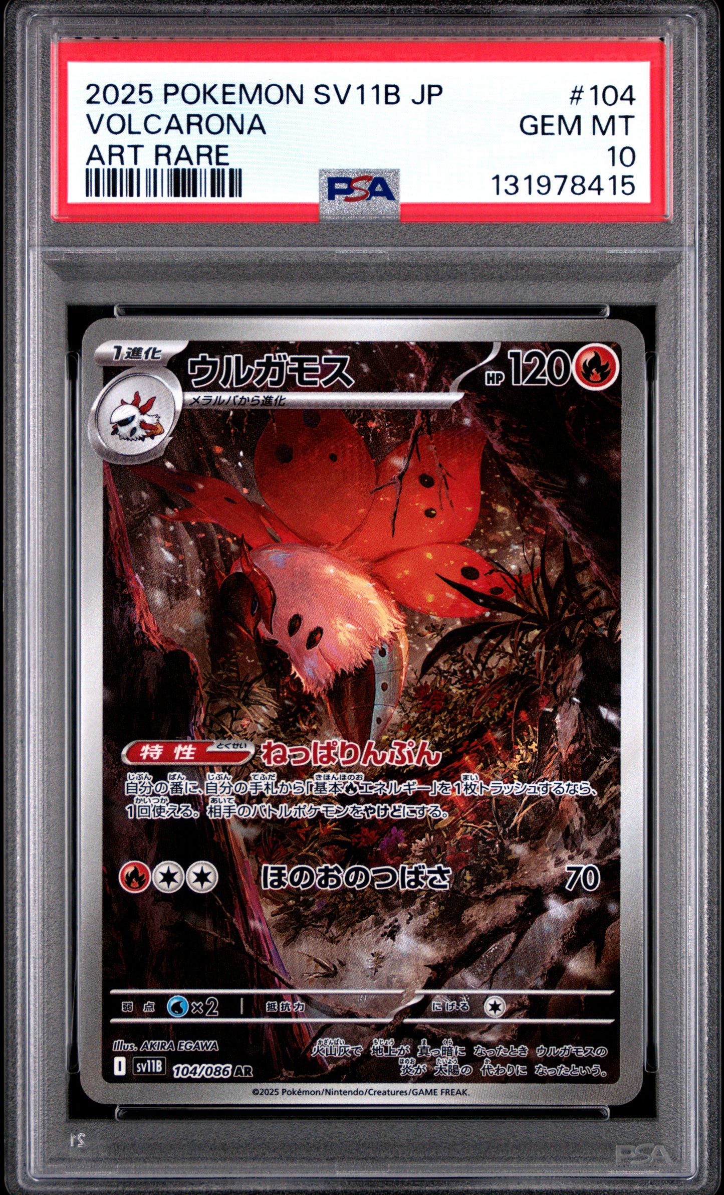 VOLCARONA