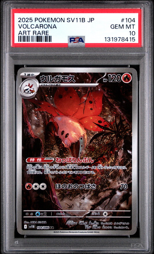 VOLCARONA