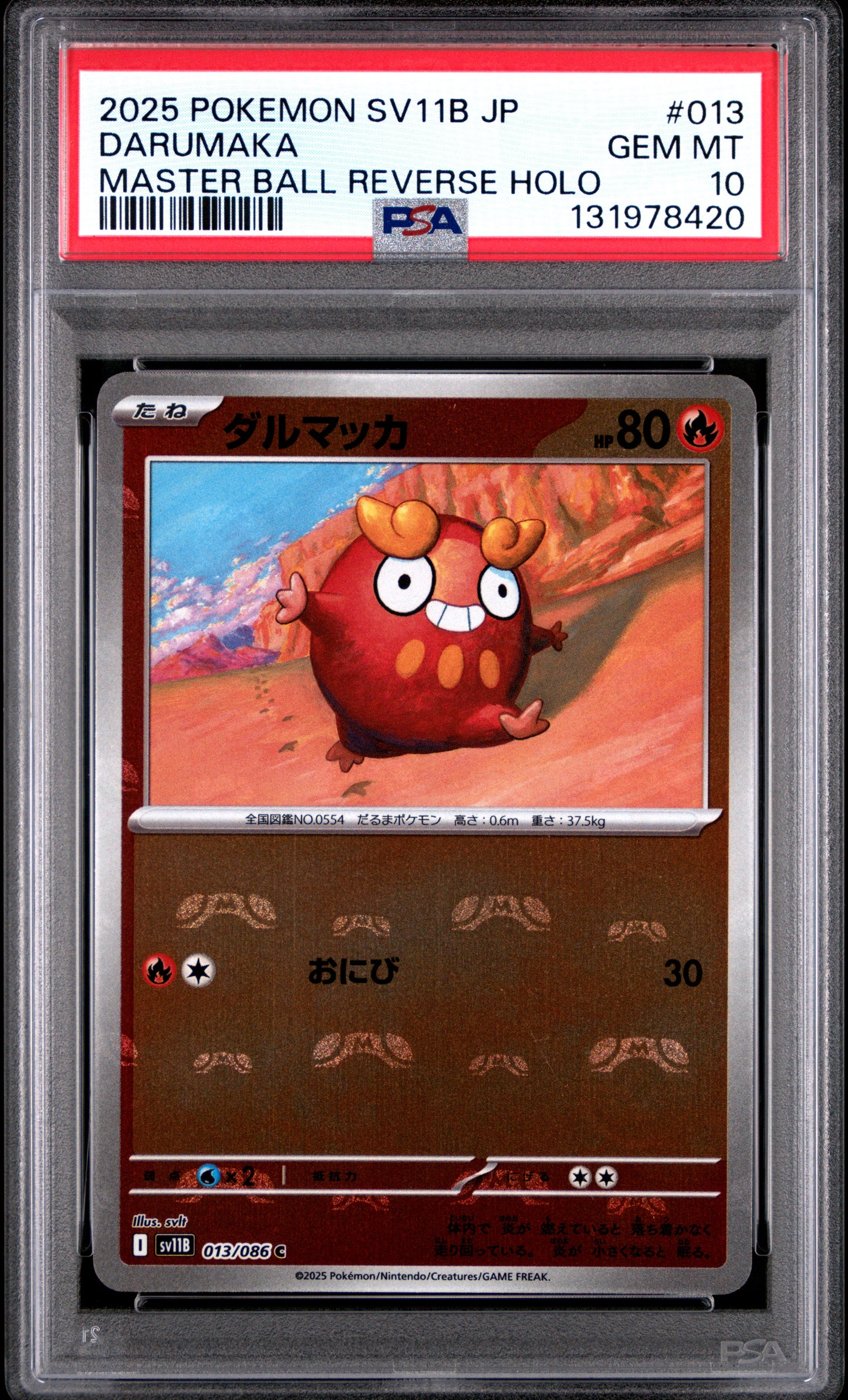 DARUMAKA