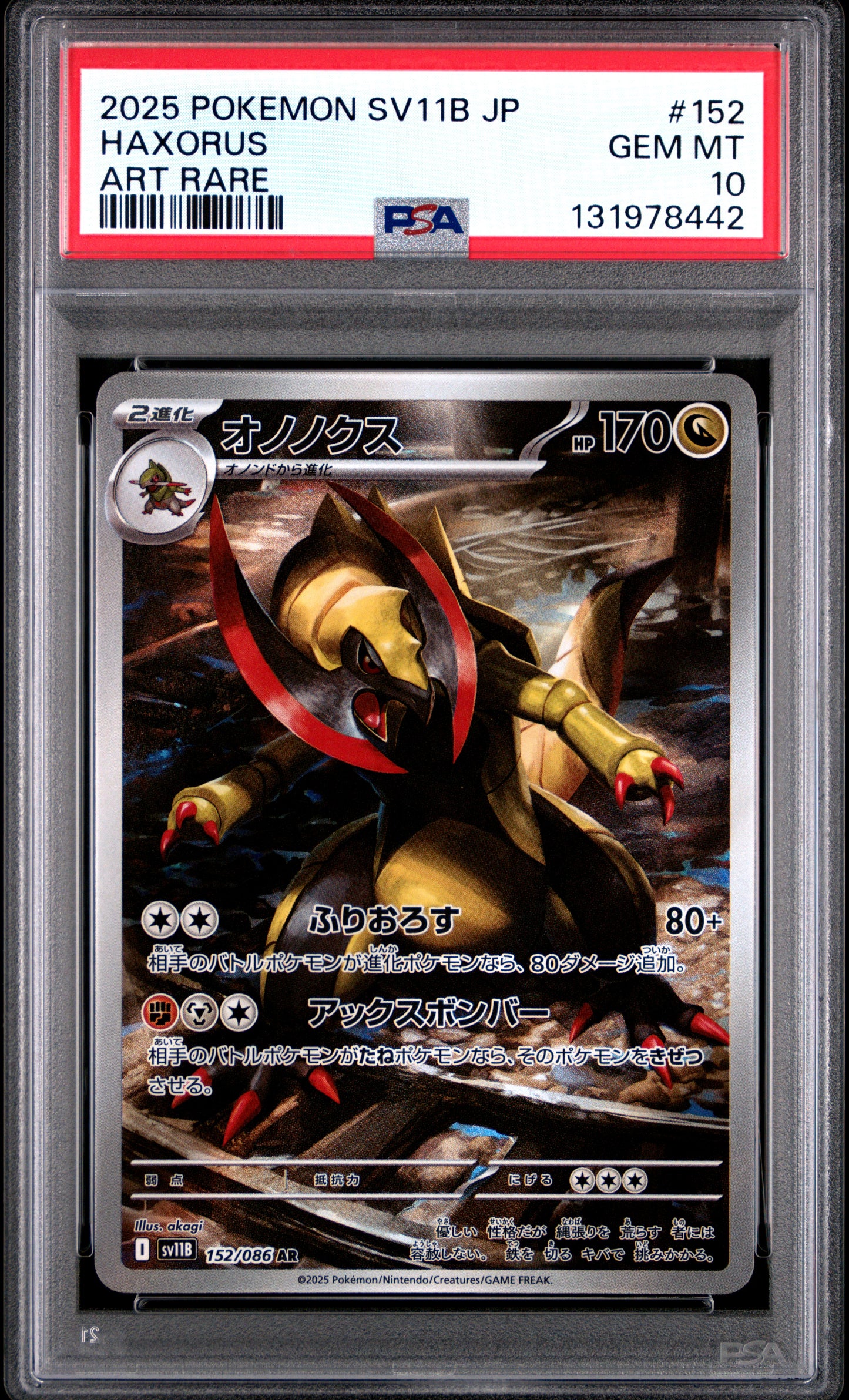 HAXORUS