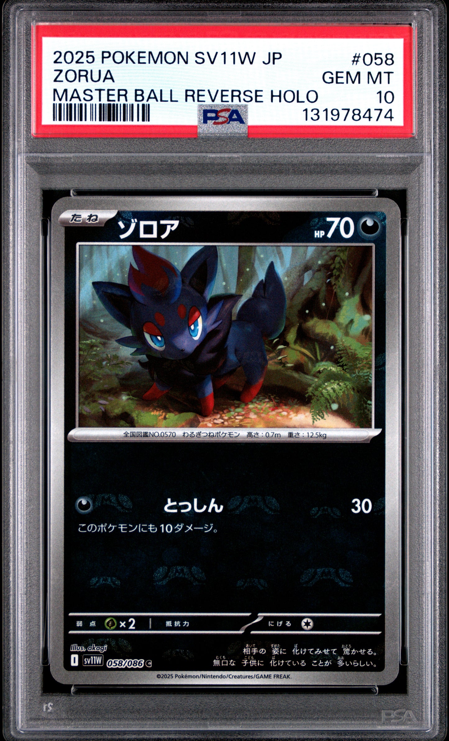 ZORUA