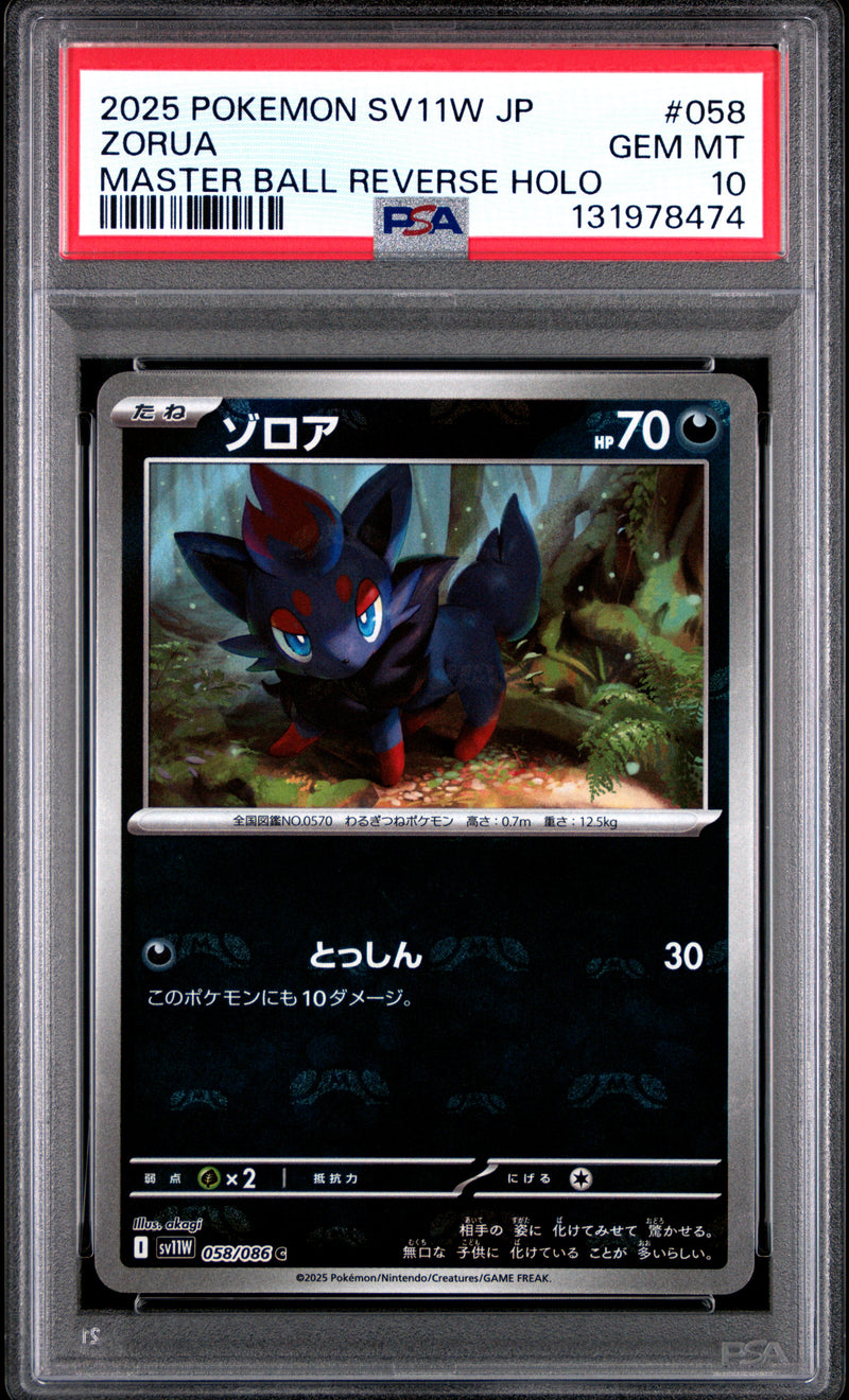 ZORUA