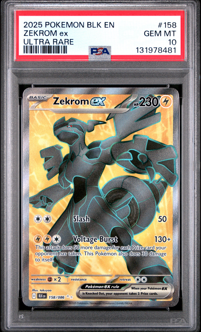 ZEKROM ex