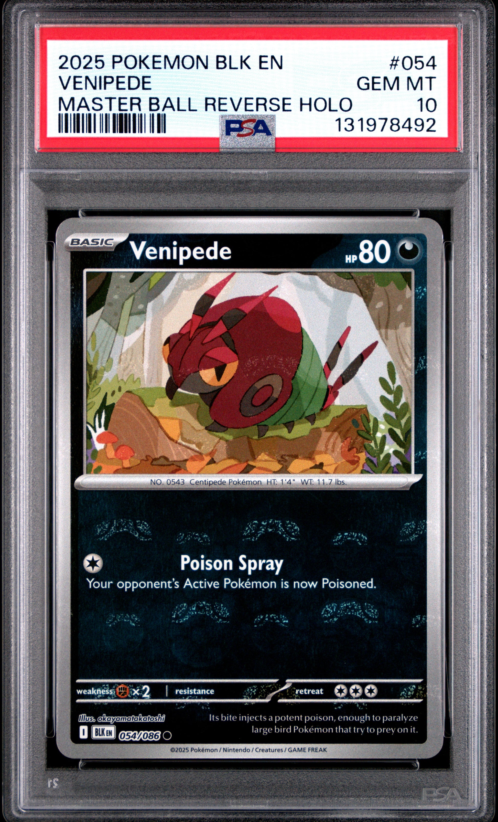 VENIPEDE