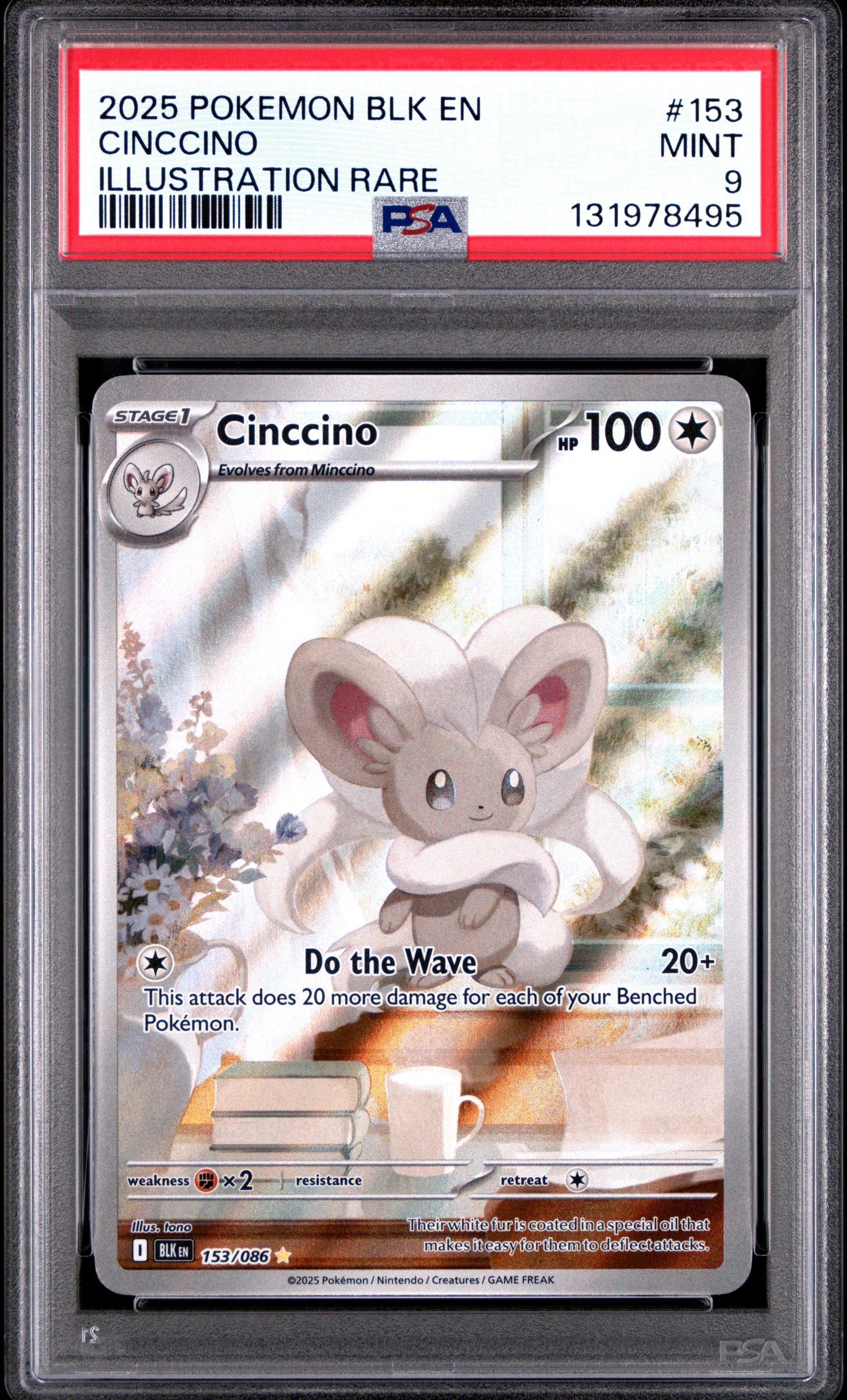 CINCCINO