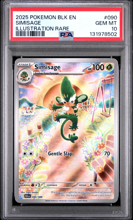 SIMISAGE