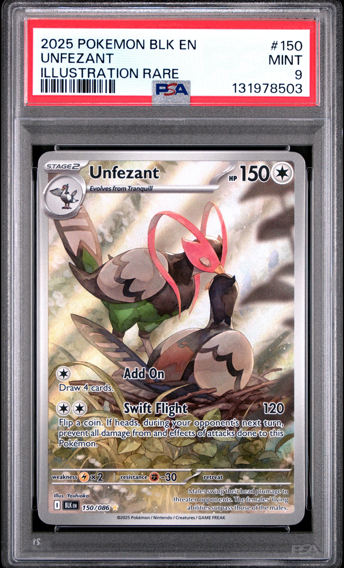 UNFEZANT