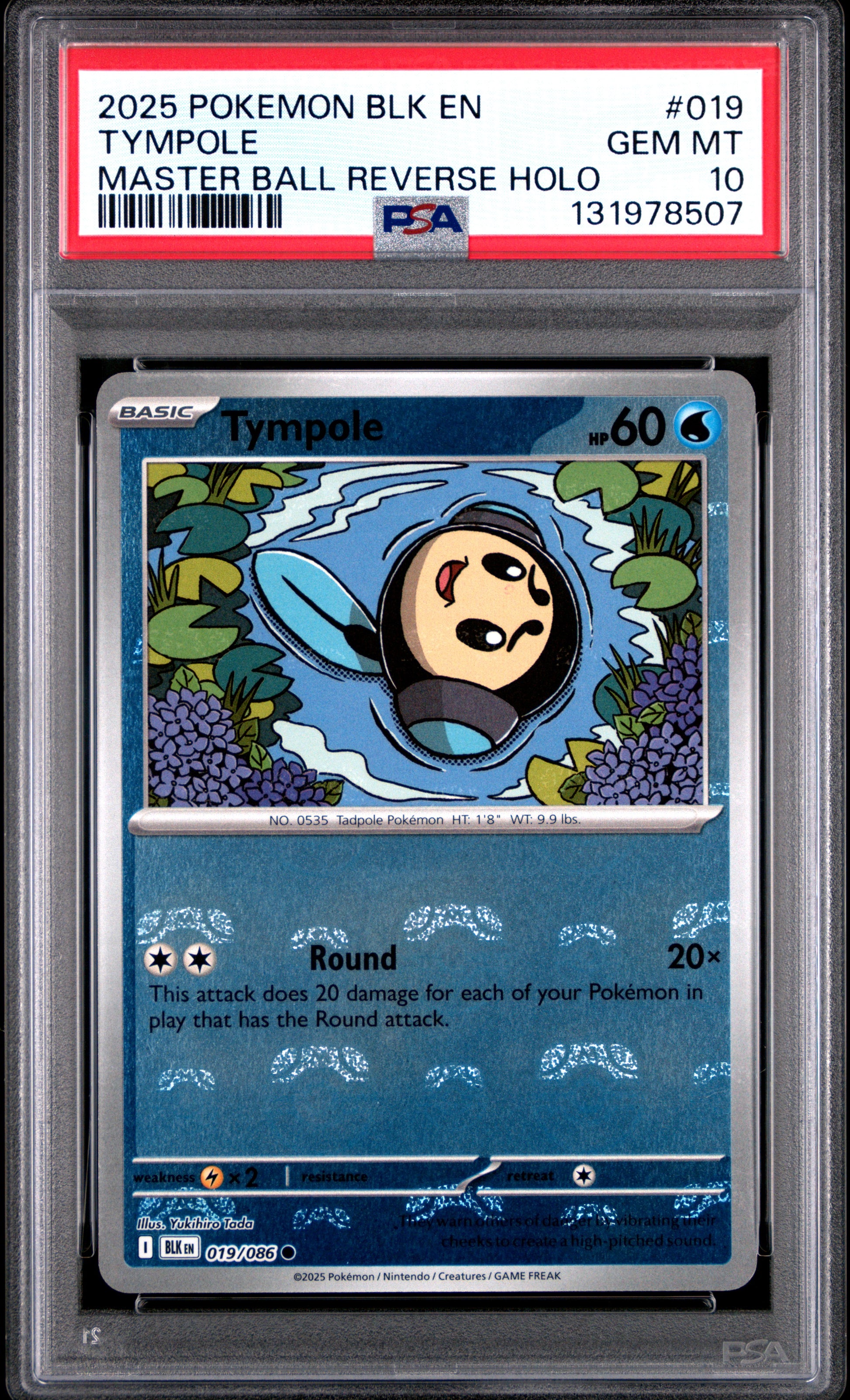 TYMPOLE