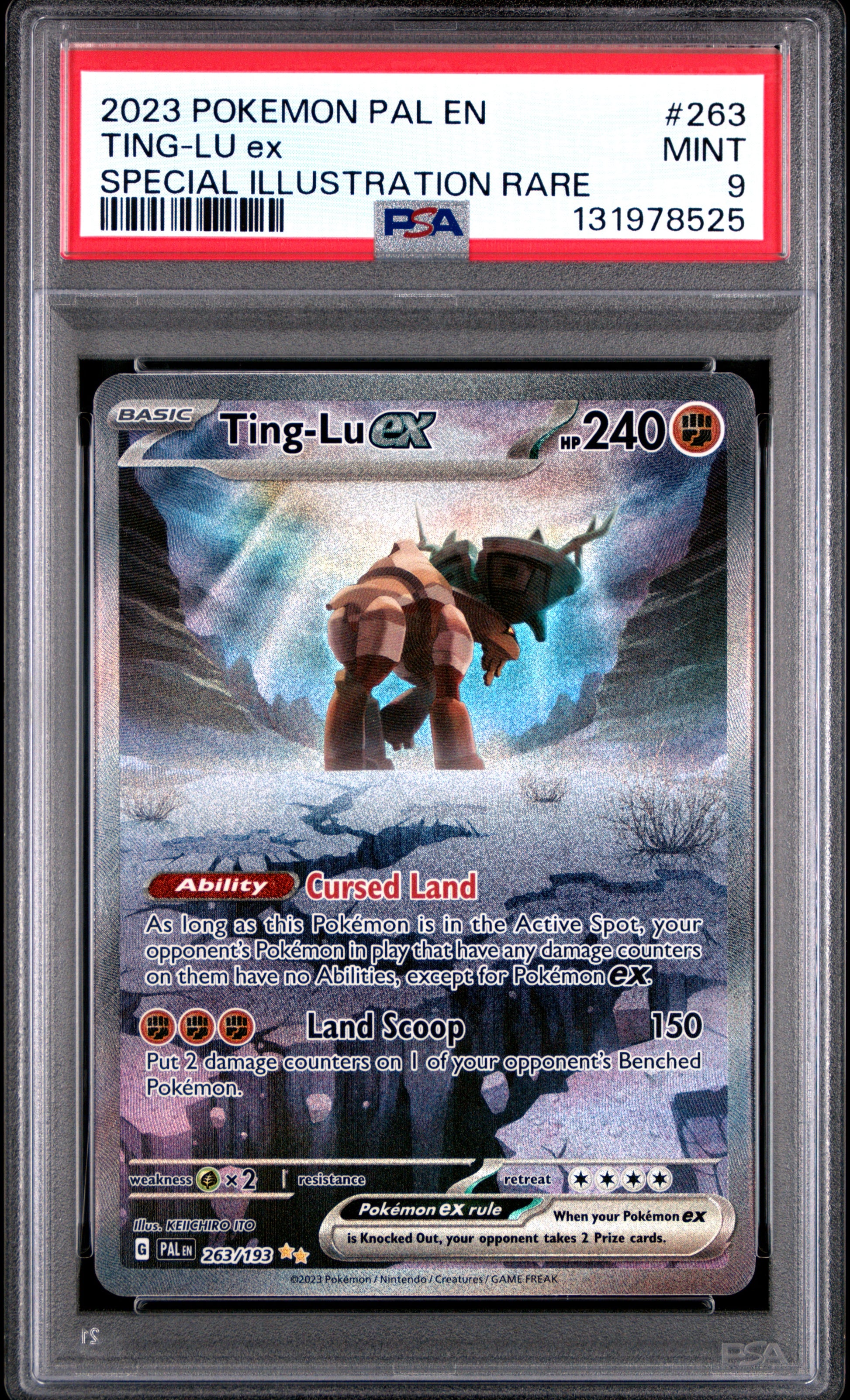 TING-LU ex
