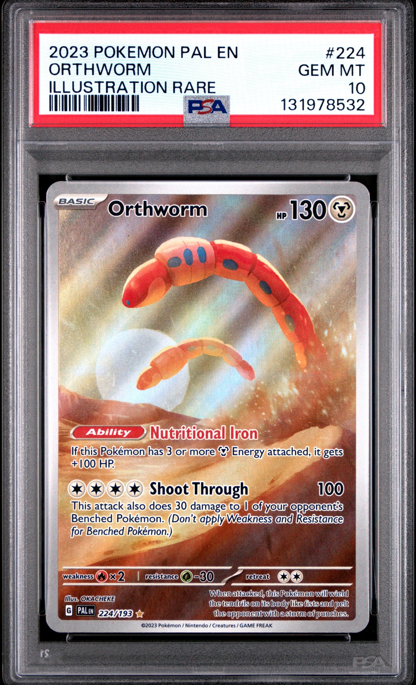 ORTHWORM