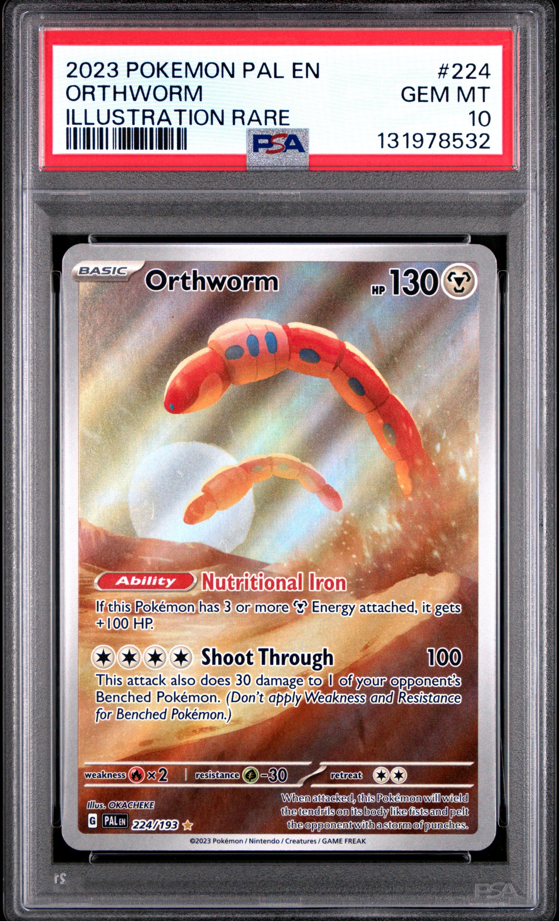 ORTHWORM
