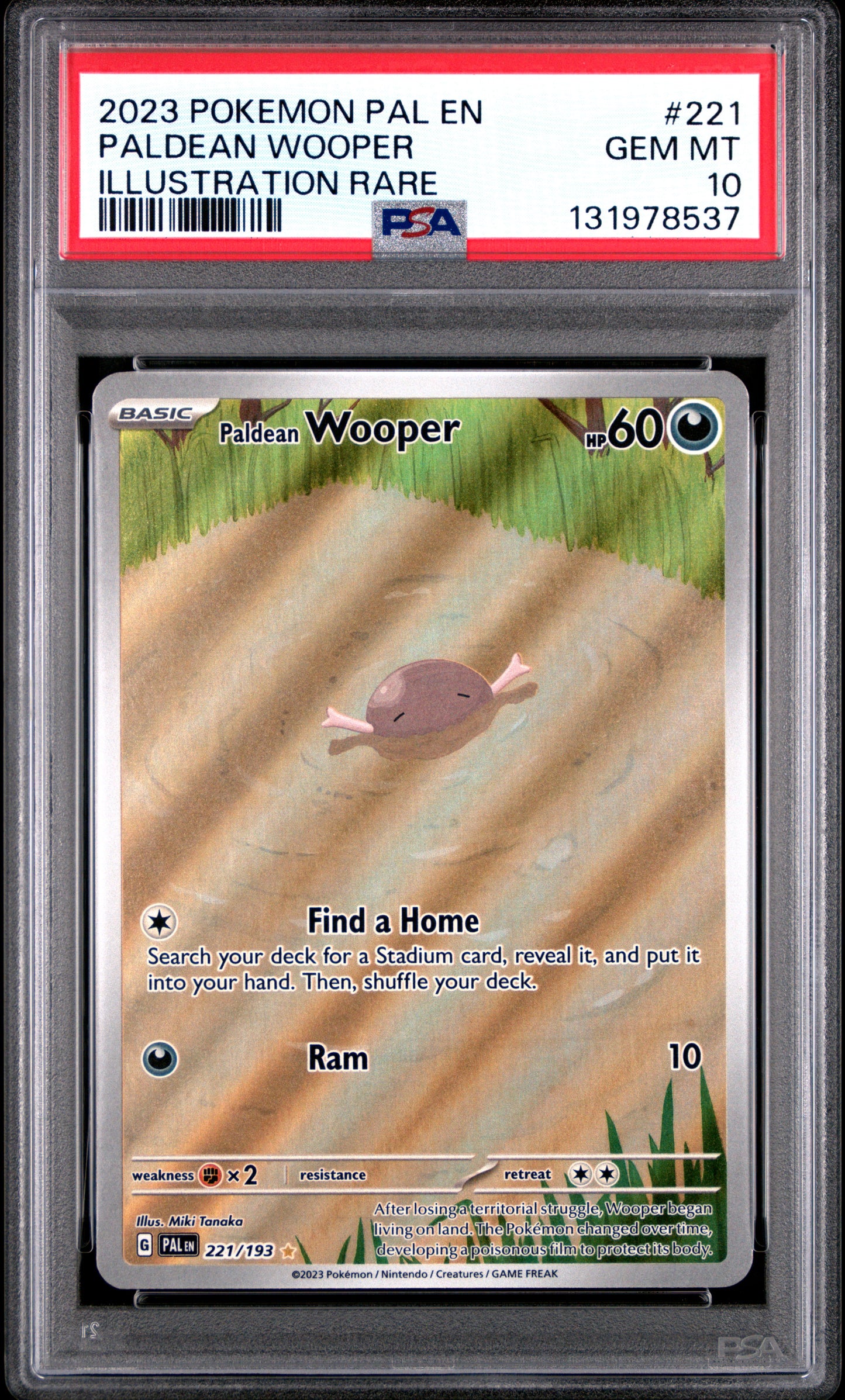 PALDEAN WOOPER
