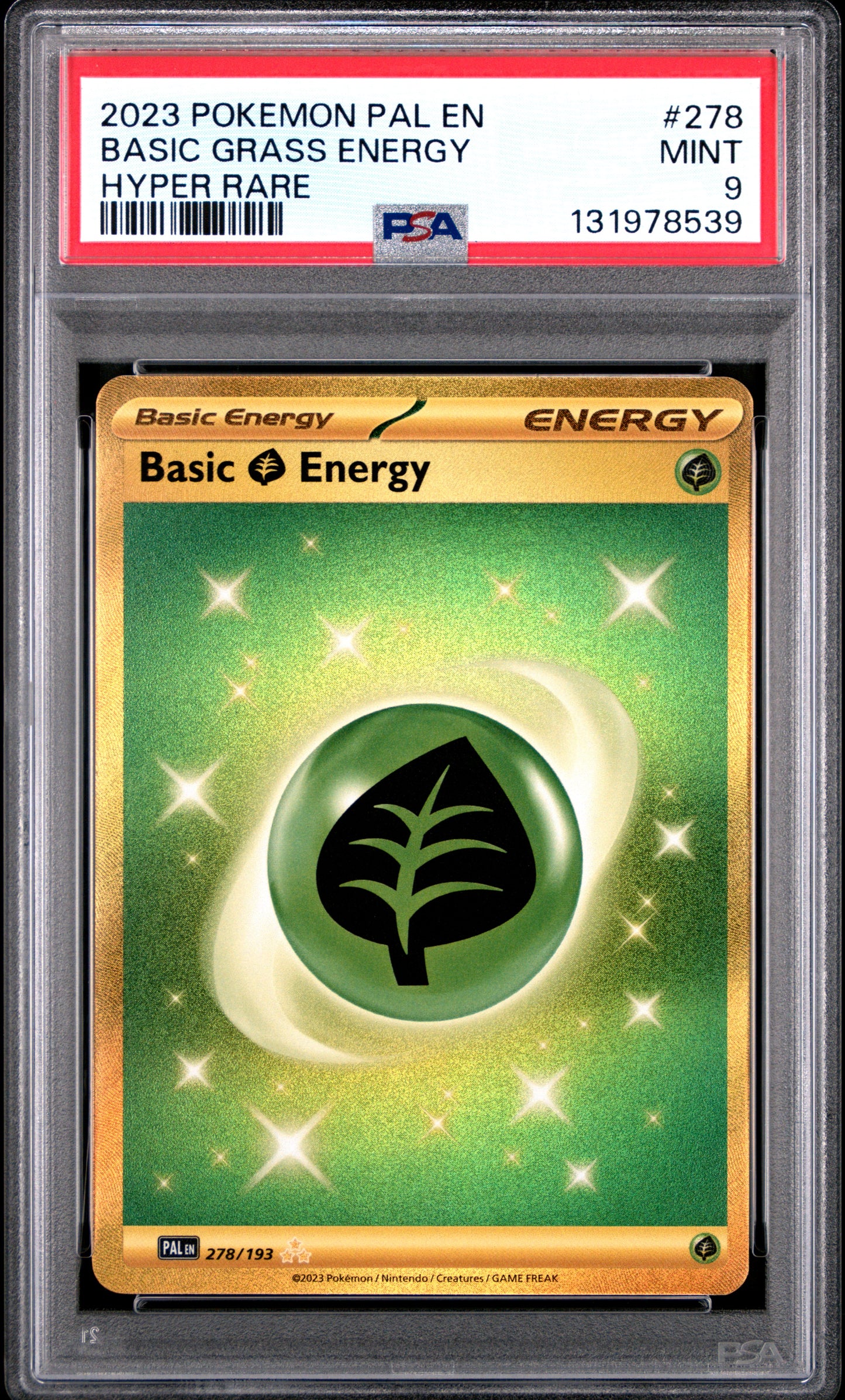 BASIC GRASS ENERGY
