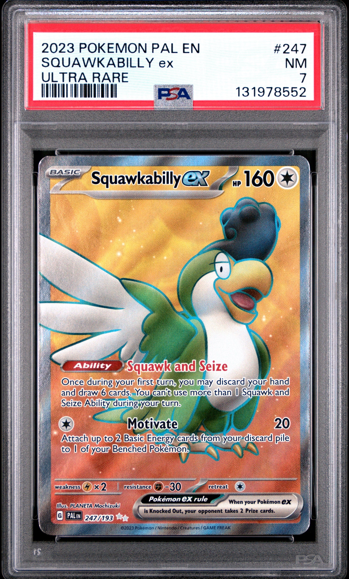 SQUAWKABILLY ex