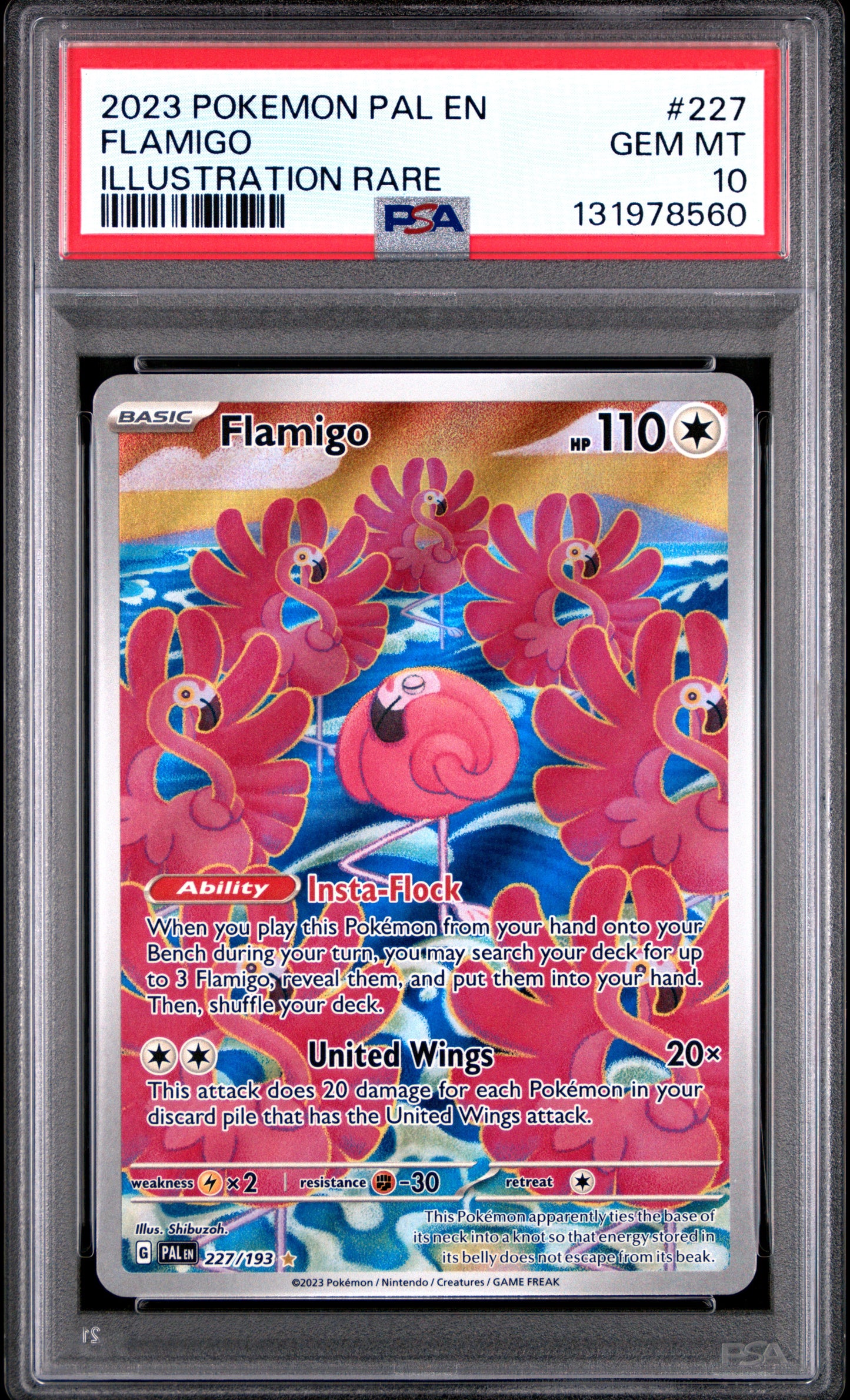 FLAMIGO