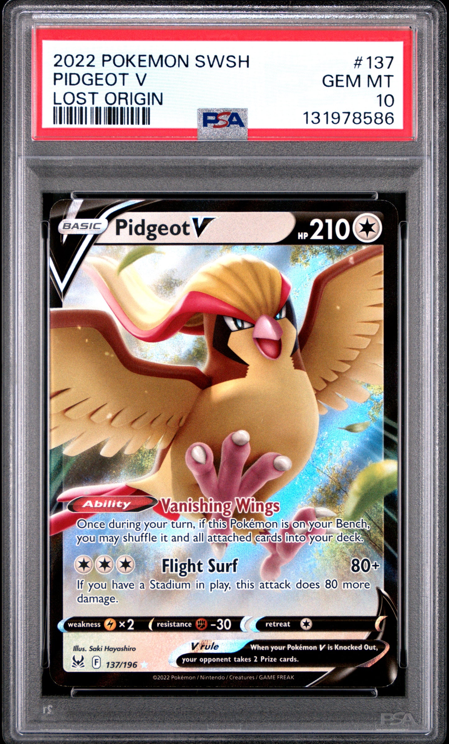 PIDGEOT V