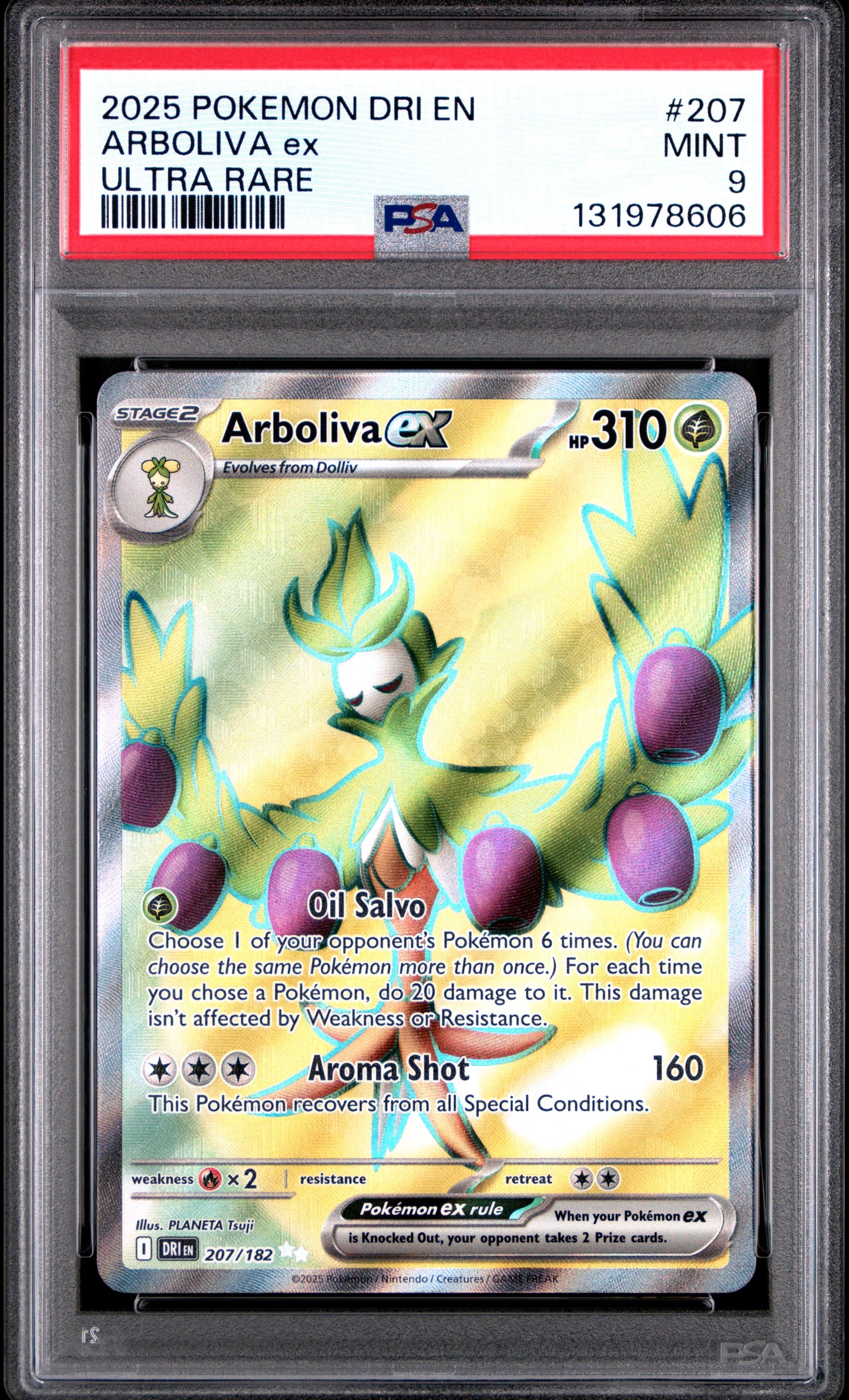 ARBOLIVA ex