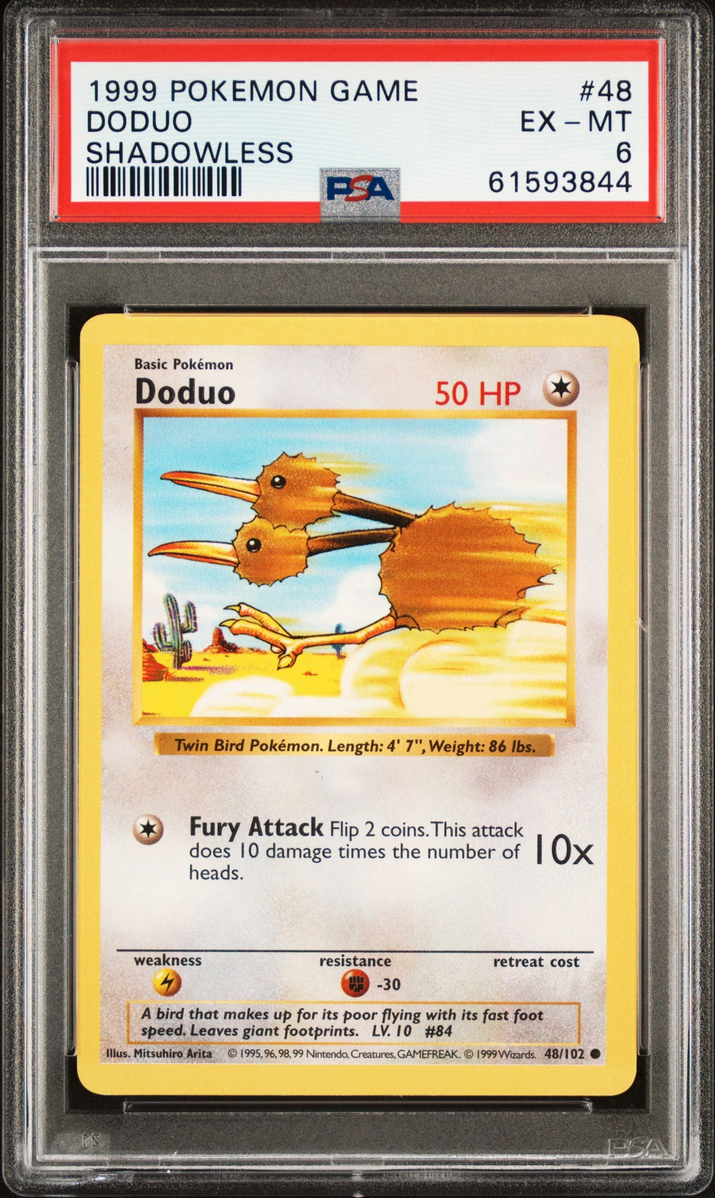 DODUO