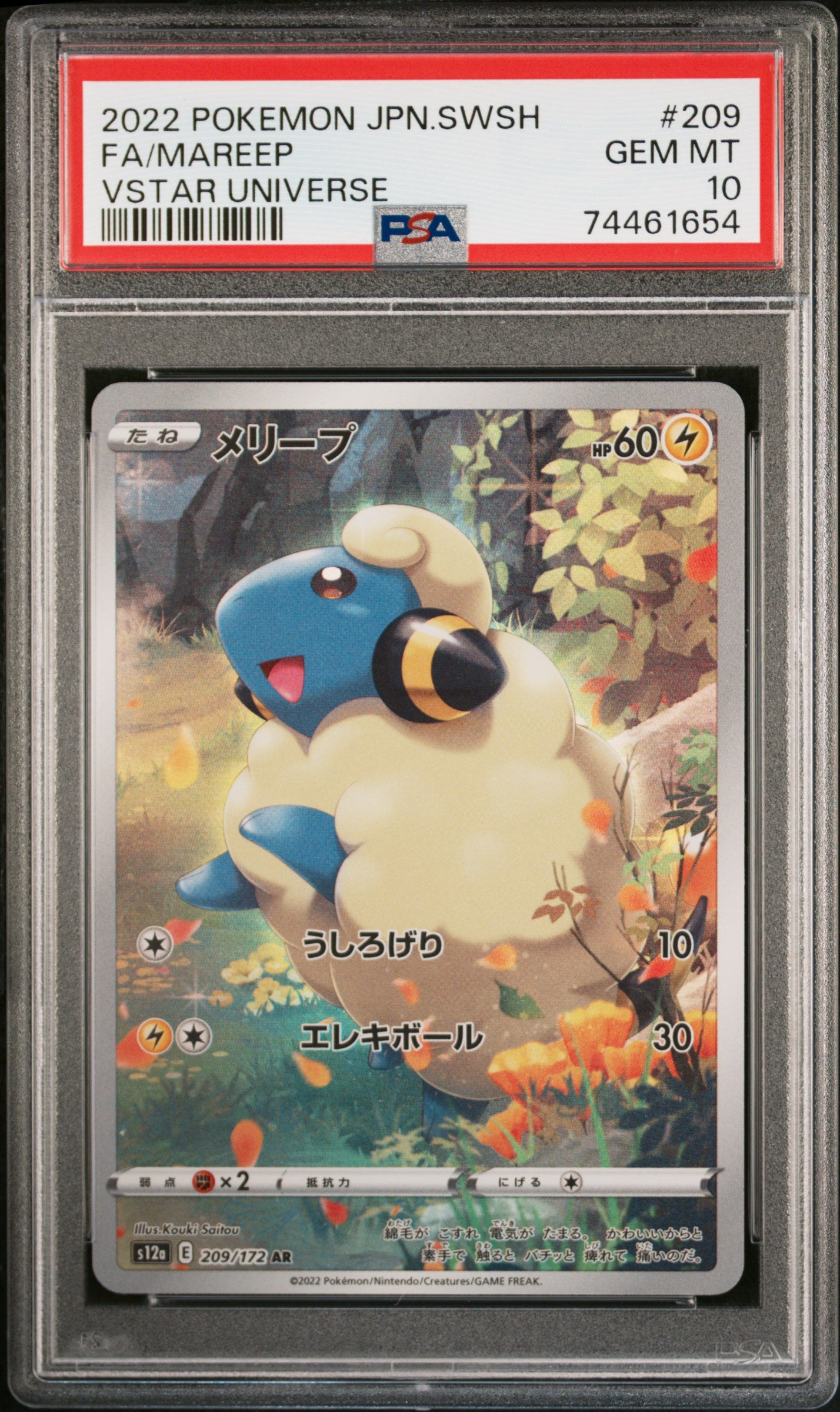 MAREEP