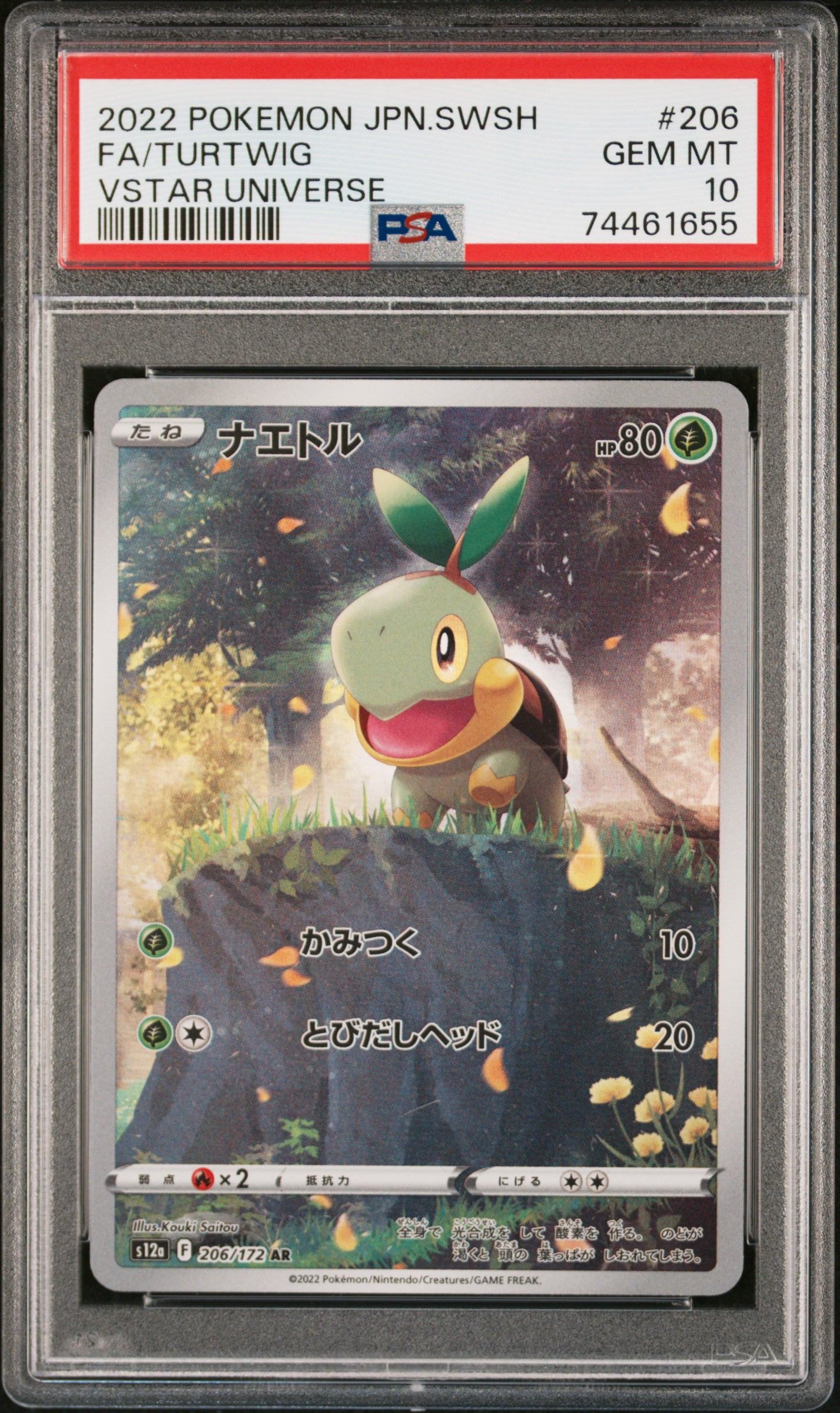 TURTWIG