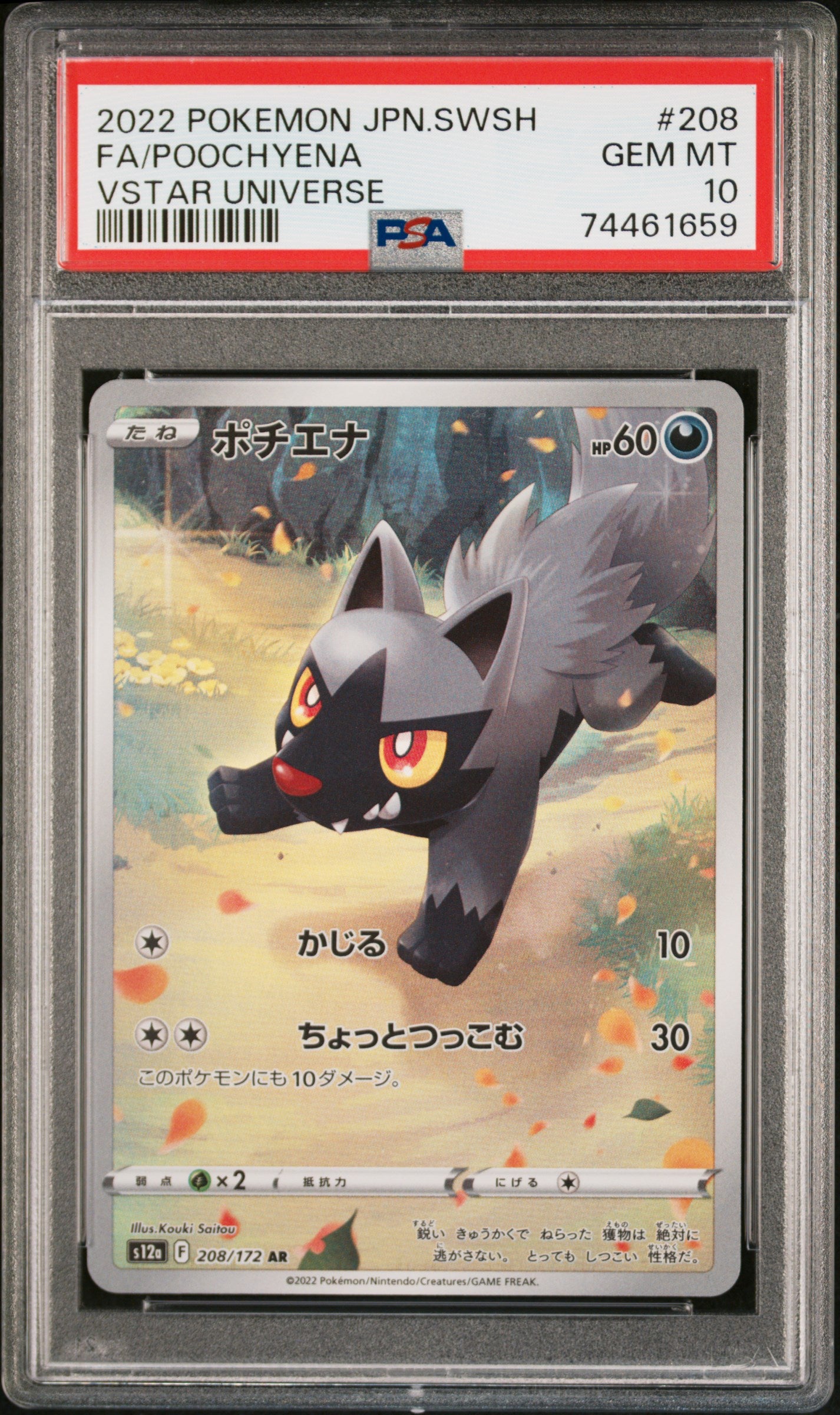 POOCHYENA