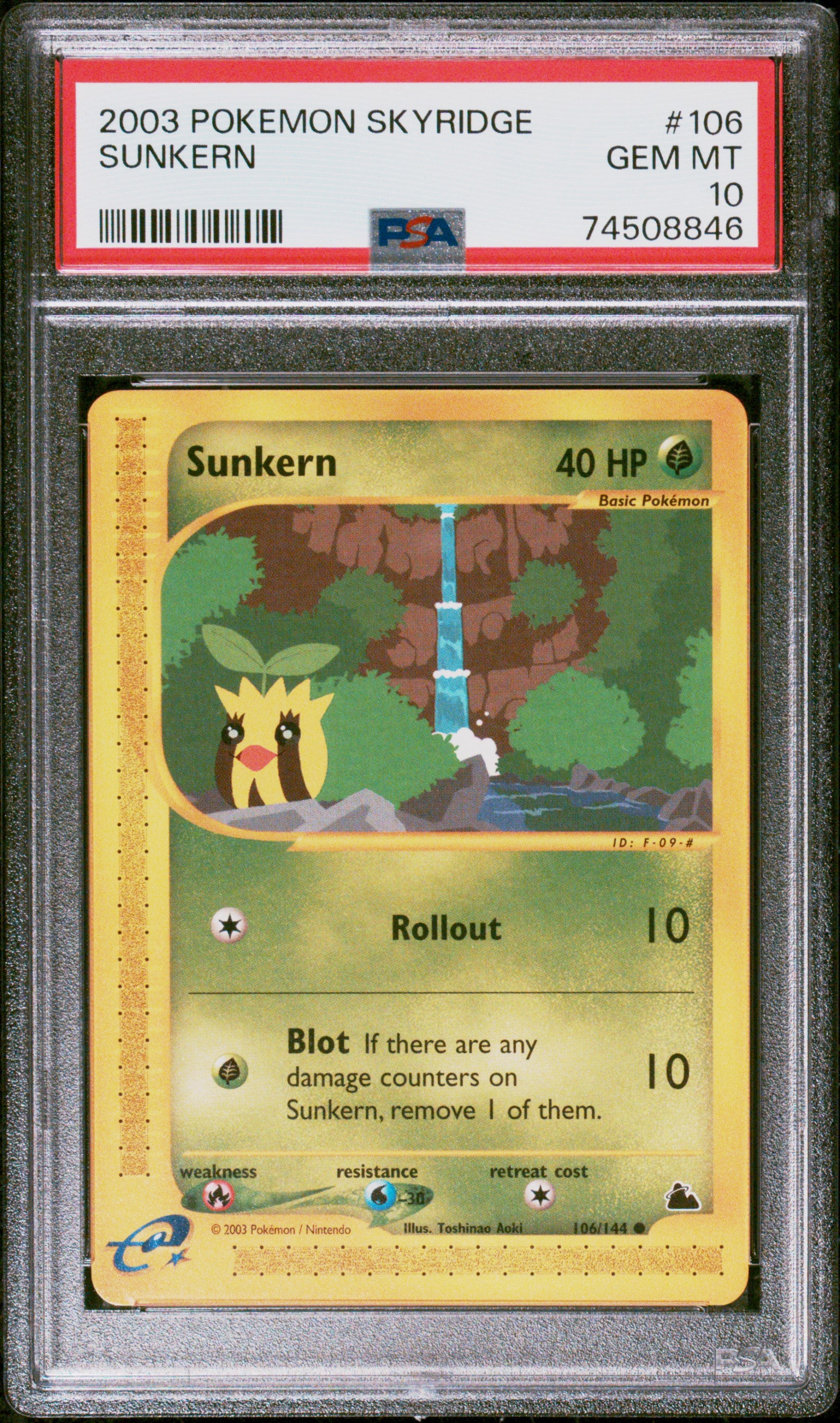 SUNKERN