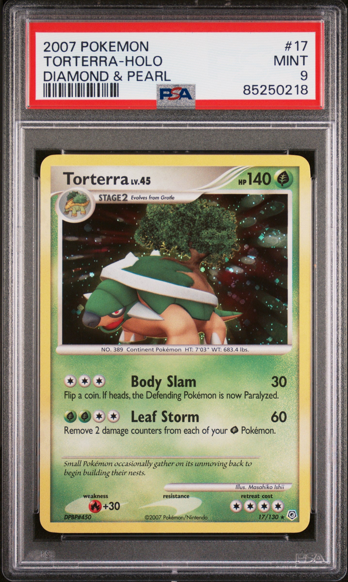TORTERRA