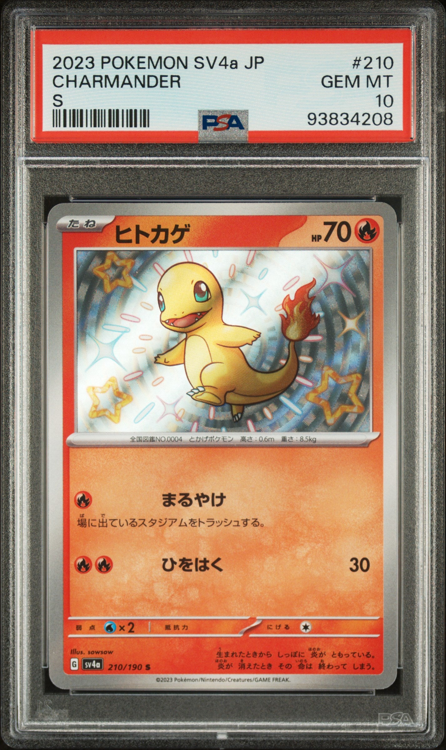 CHARMANDER